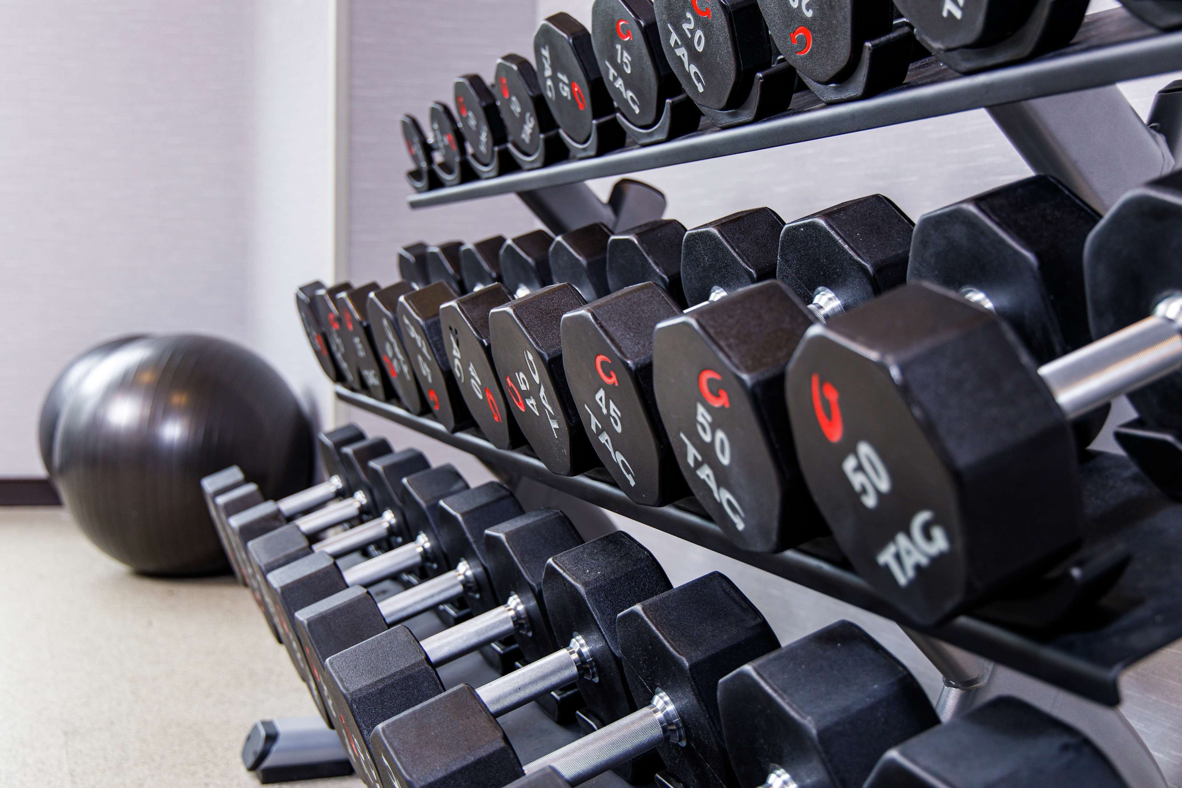 A rack of dumbbells with weight markings, a weight plate, and a metal bar.