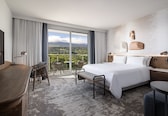 A hotel room with a large bed, a desk, a chair, and a view of the outdoors.