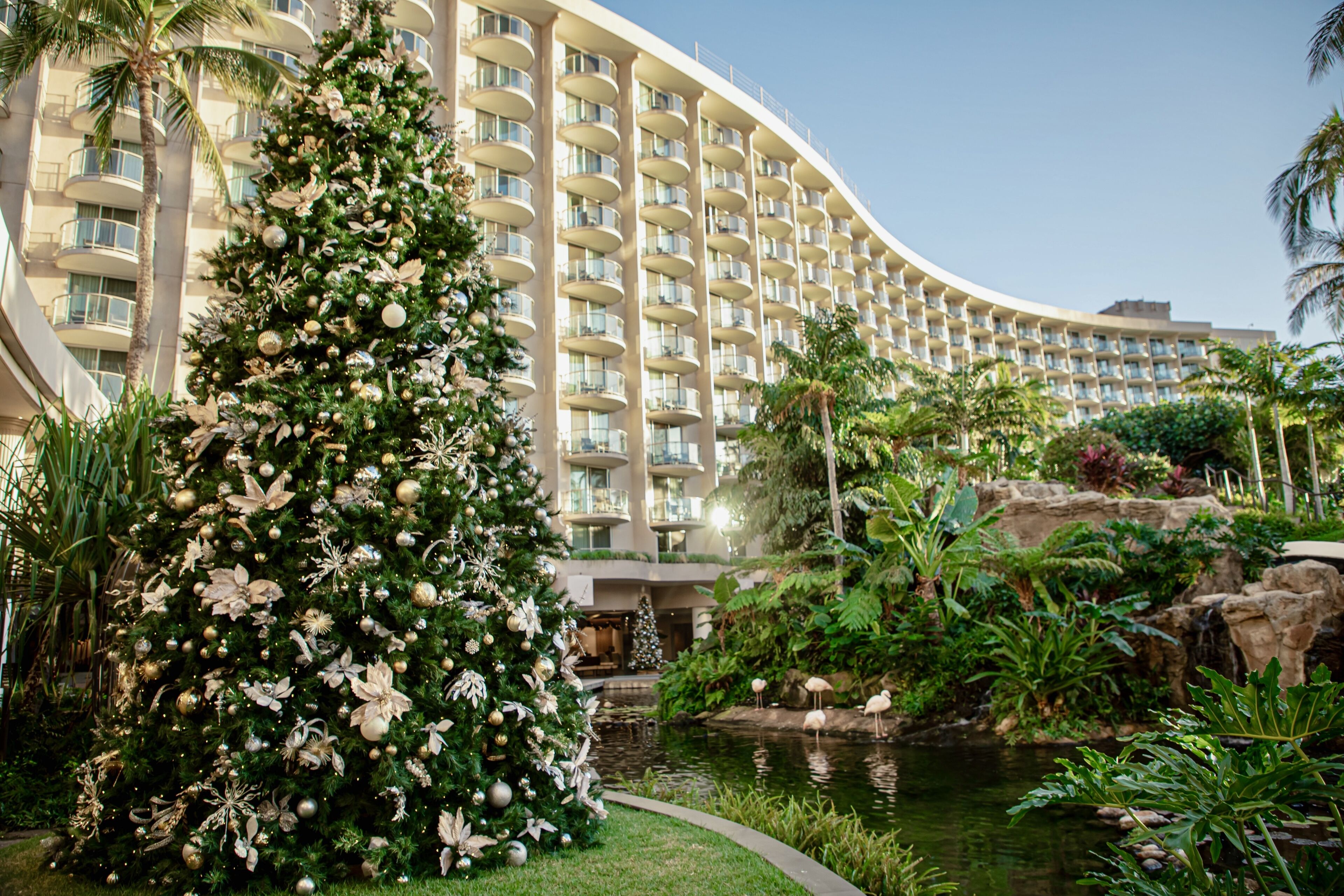 Uma grande árvore de Natal decorada em frente a um hotel com fachada curva e várias sacadas.