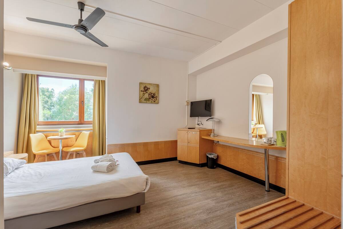 A hotel room with a bed, a desk with a computer, a chair, a small table with a plant, and a window with curtains.