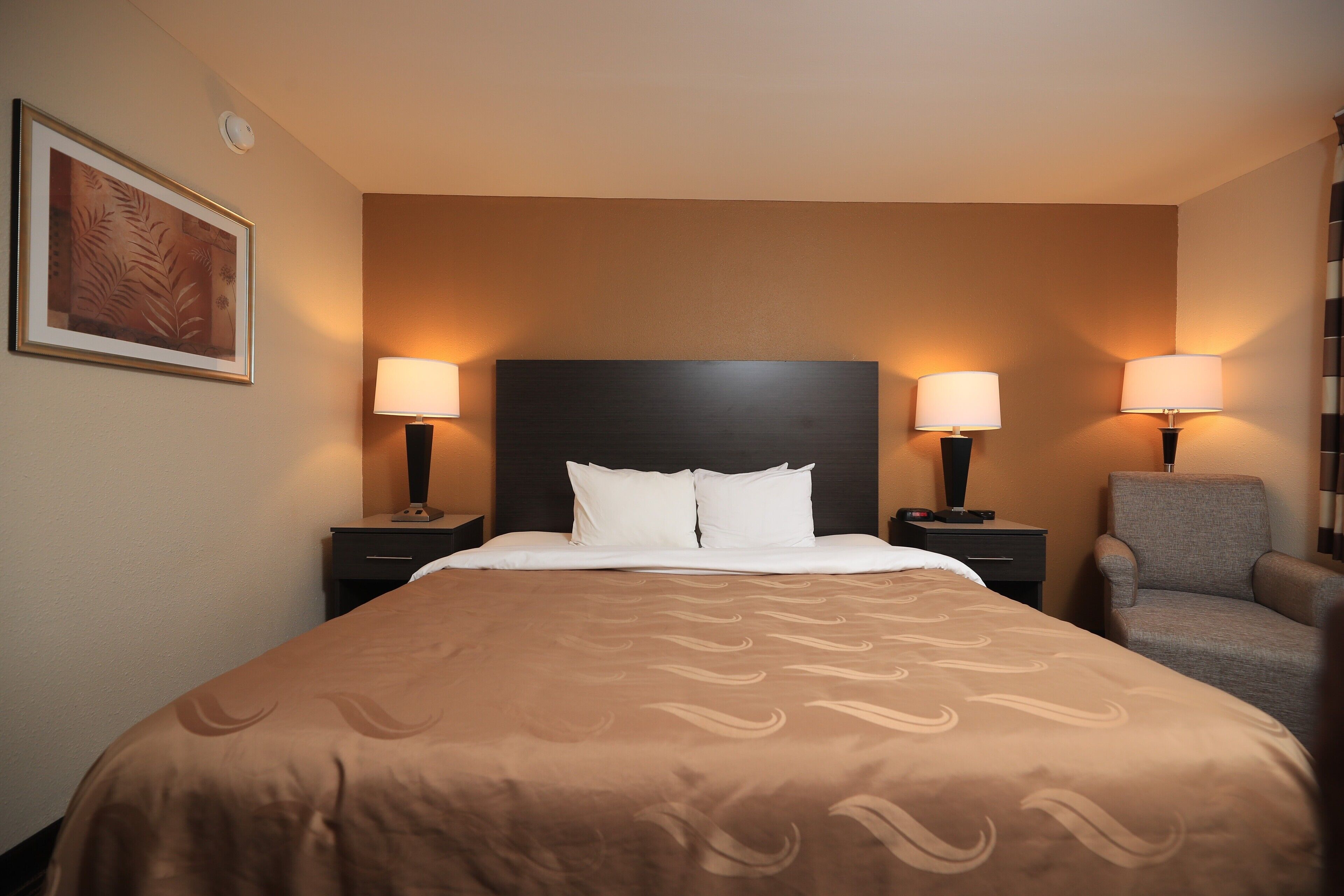 Foto - Quality Inn DFW Airport North - Irving