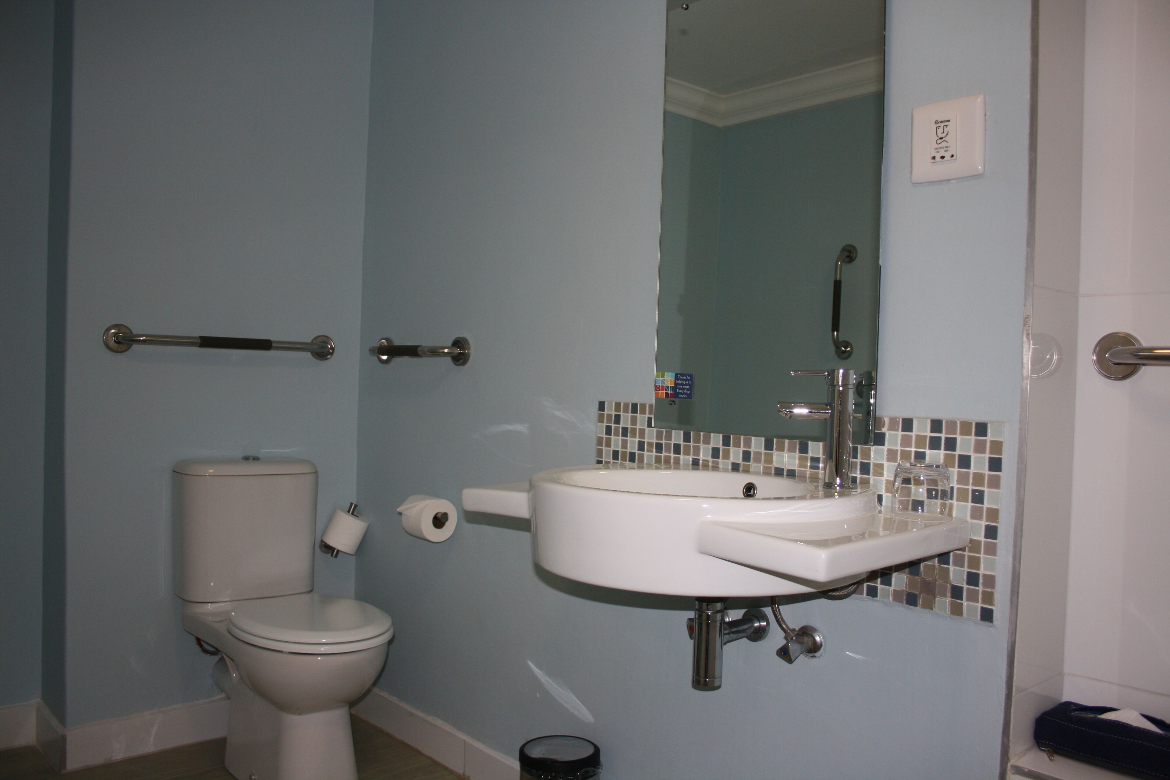 A bathroom with a toilet, sink, and handrails.