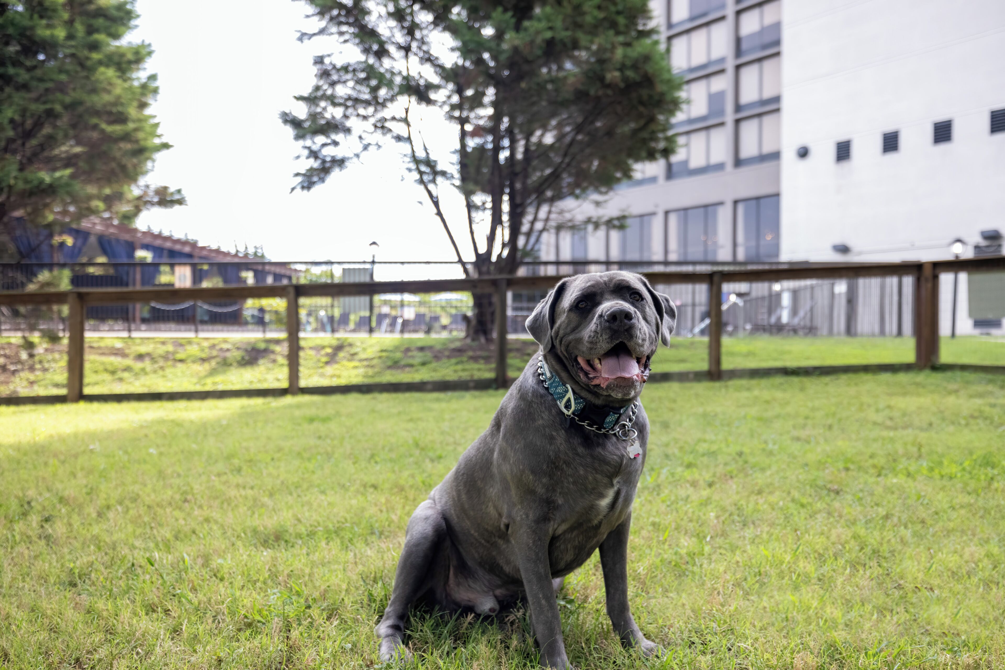 Photo - Delta Hotels by Marriott Nashville Airport