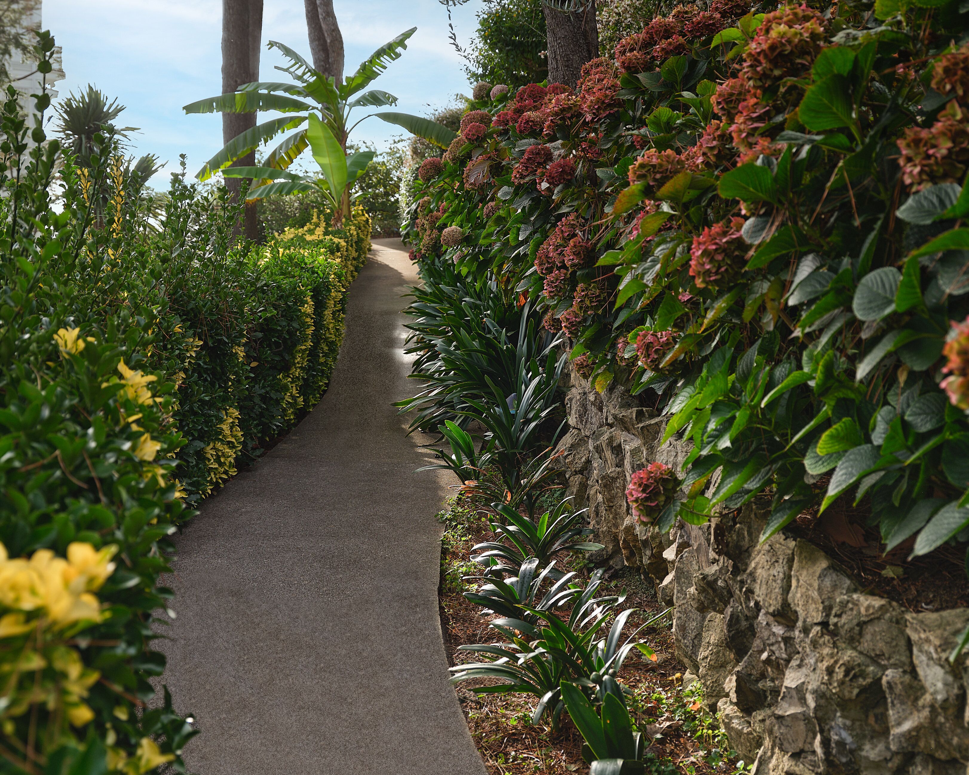 Foto - Grand Hotel Miramare