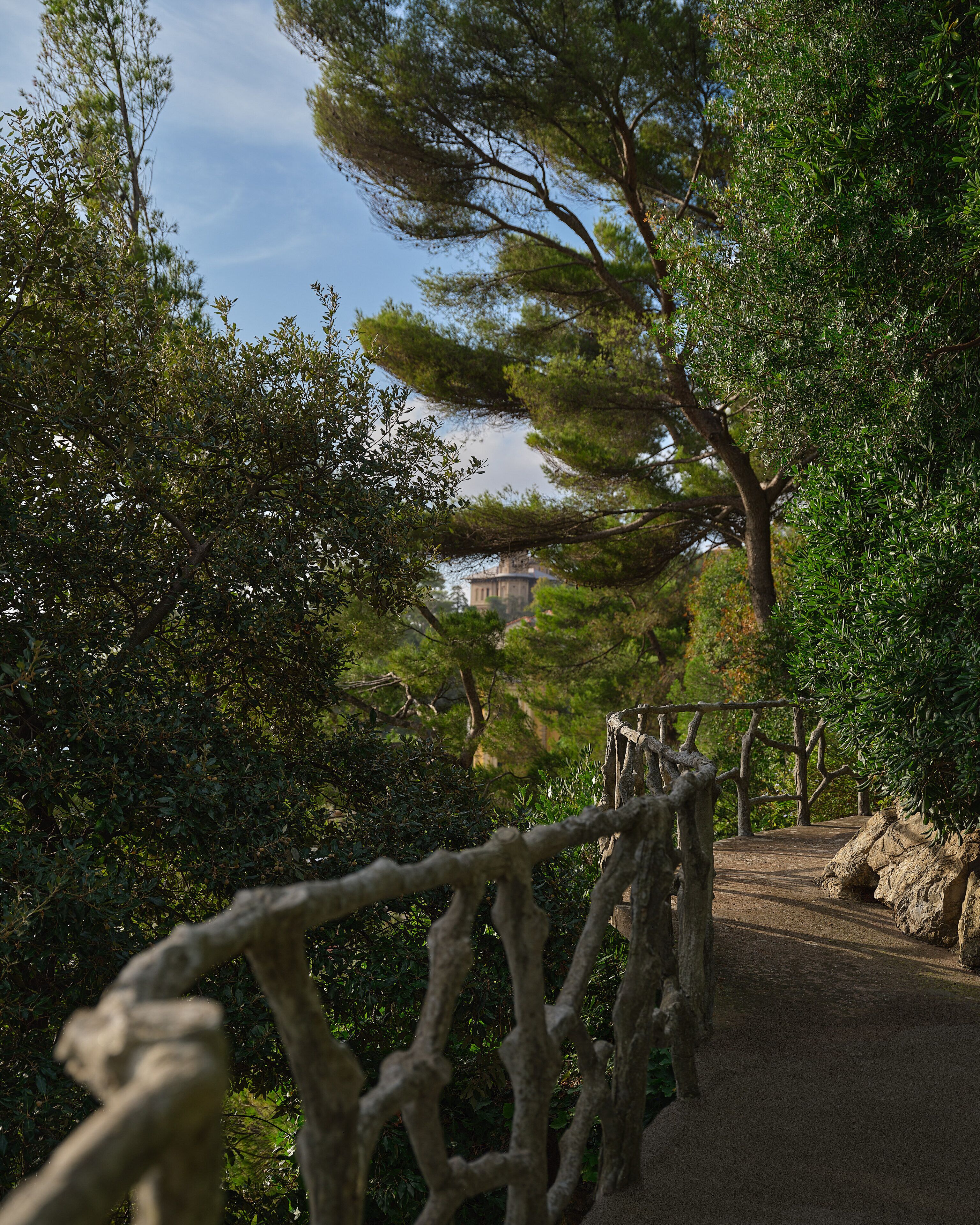 A pathway with a wooden fence, surrounded by dense green foliage and trees.