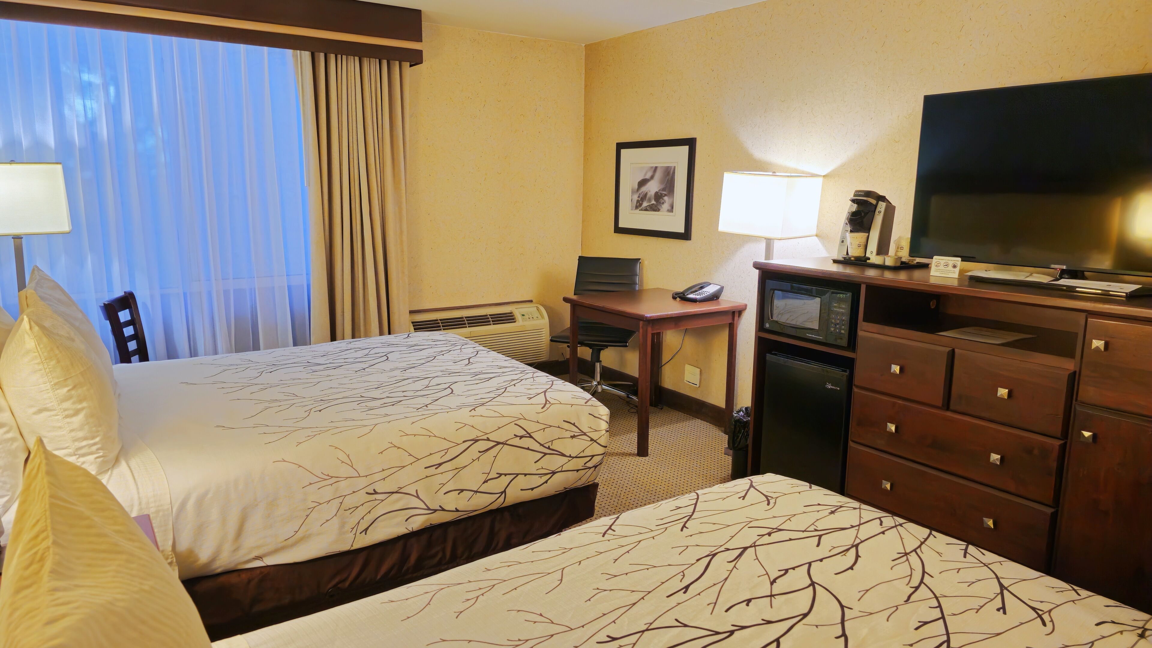 Habitación de hotel con dos camas, un escritorio, una silla, un televisor, microondas y refrigerador.