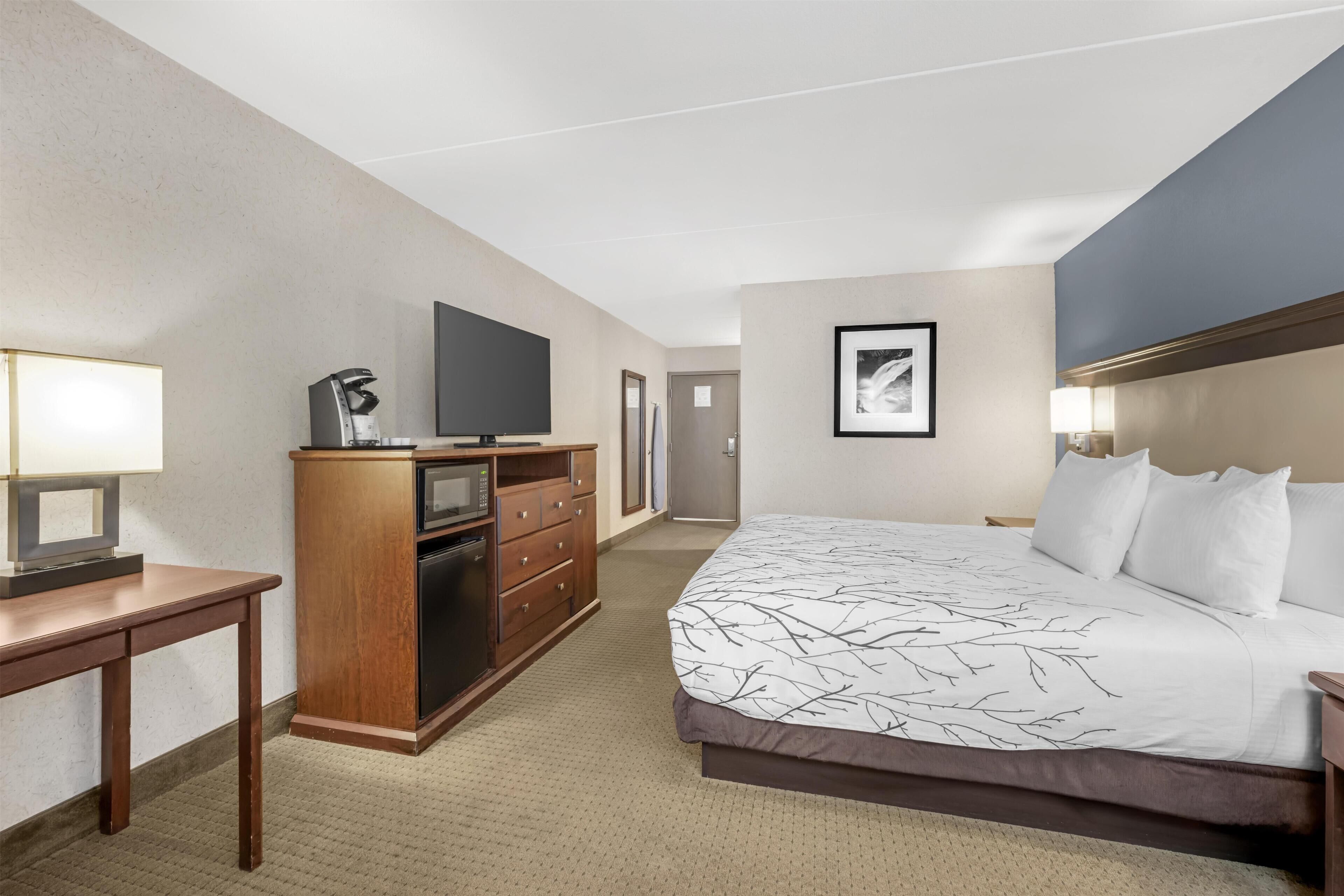 A hotel room with a bed, a desk, a television, a dresser, and a framed picture on the wall.