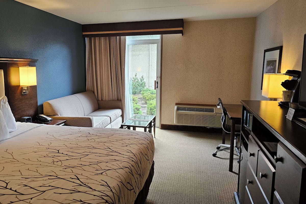 Standard Room, 1 King Bed, Refrigerator & Microwave, Courtyard View | Hypo-allergenic bedding, pillowtop beds, desk, laptop workspace