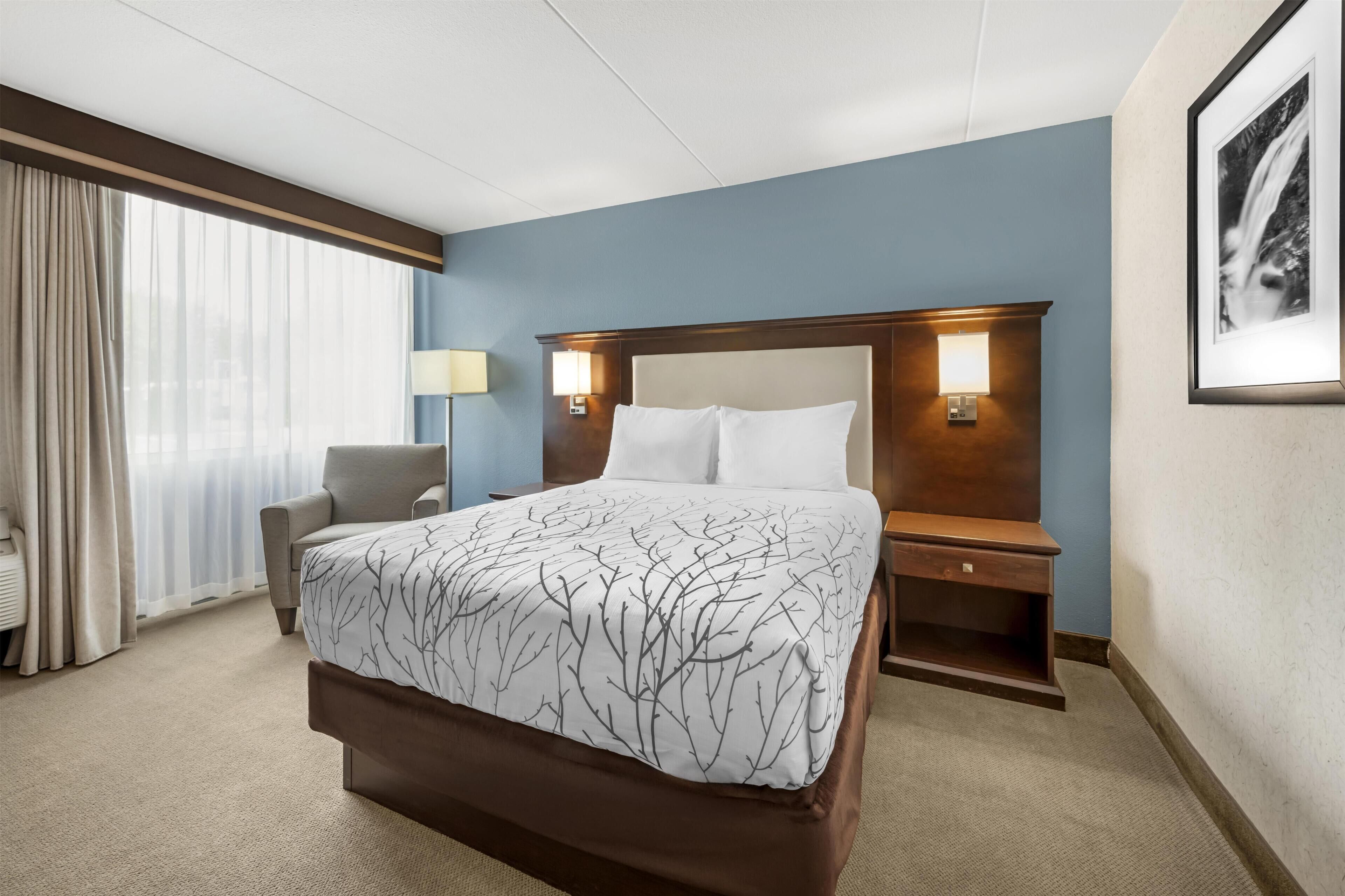Una habitación de hotel con cama, sill ón, mesita de noche, lámpara y un cuadro en la pared.