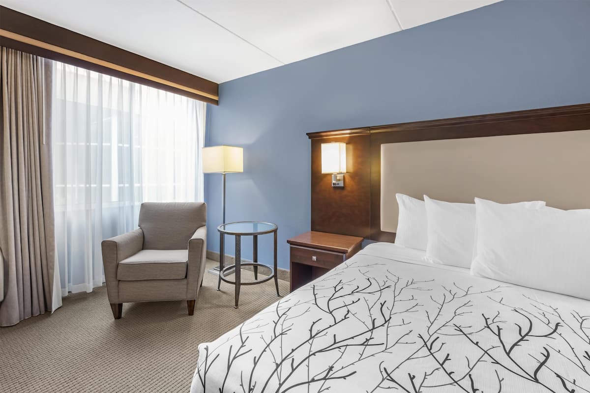Standard Room, 1 King Bed, Accessible, Bathtub | Hypo-allergenic bedding, pillowtop beds, desk, laptop workspace