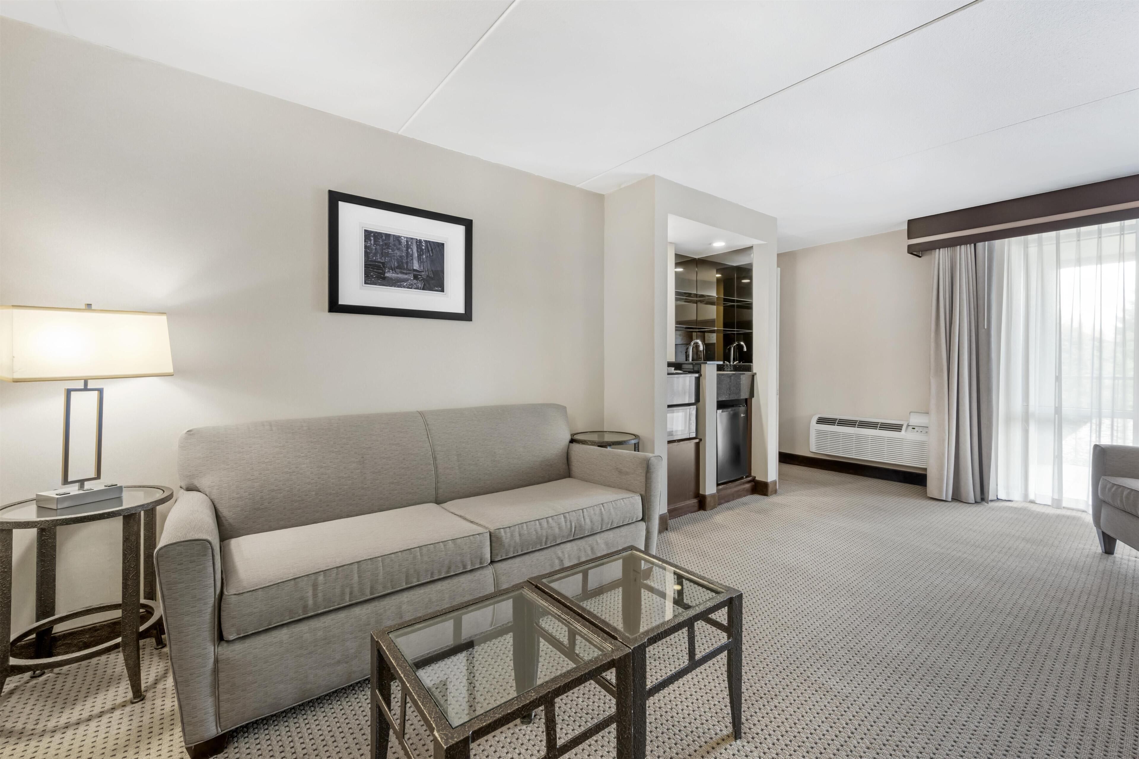 Suite, 1 King Bed, Refrigerator & Microwave, Courtyard View (with Sofabed) | Hypo-allergenic bedding, pillowtop beds, desk, laptop workspace