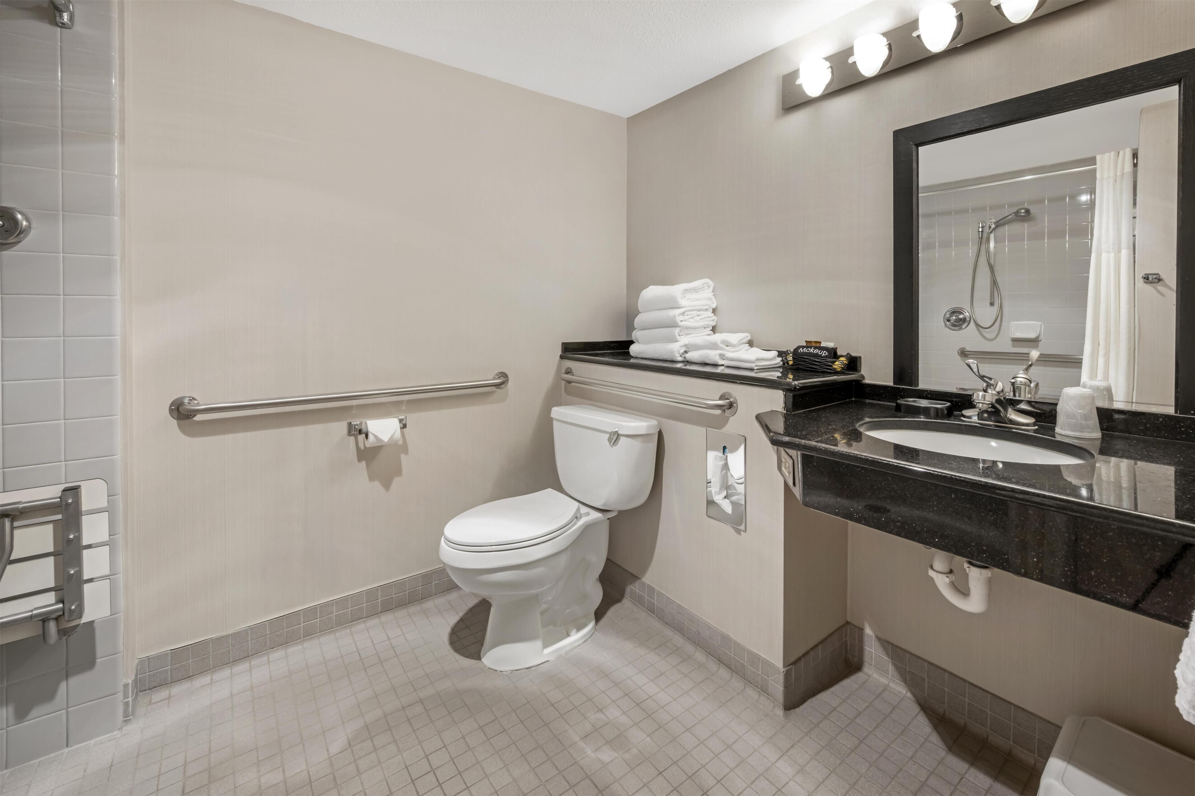 Ein Badezimmer mit Toilette, Waschbecken und Haltegriffen.