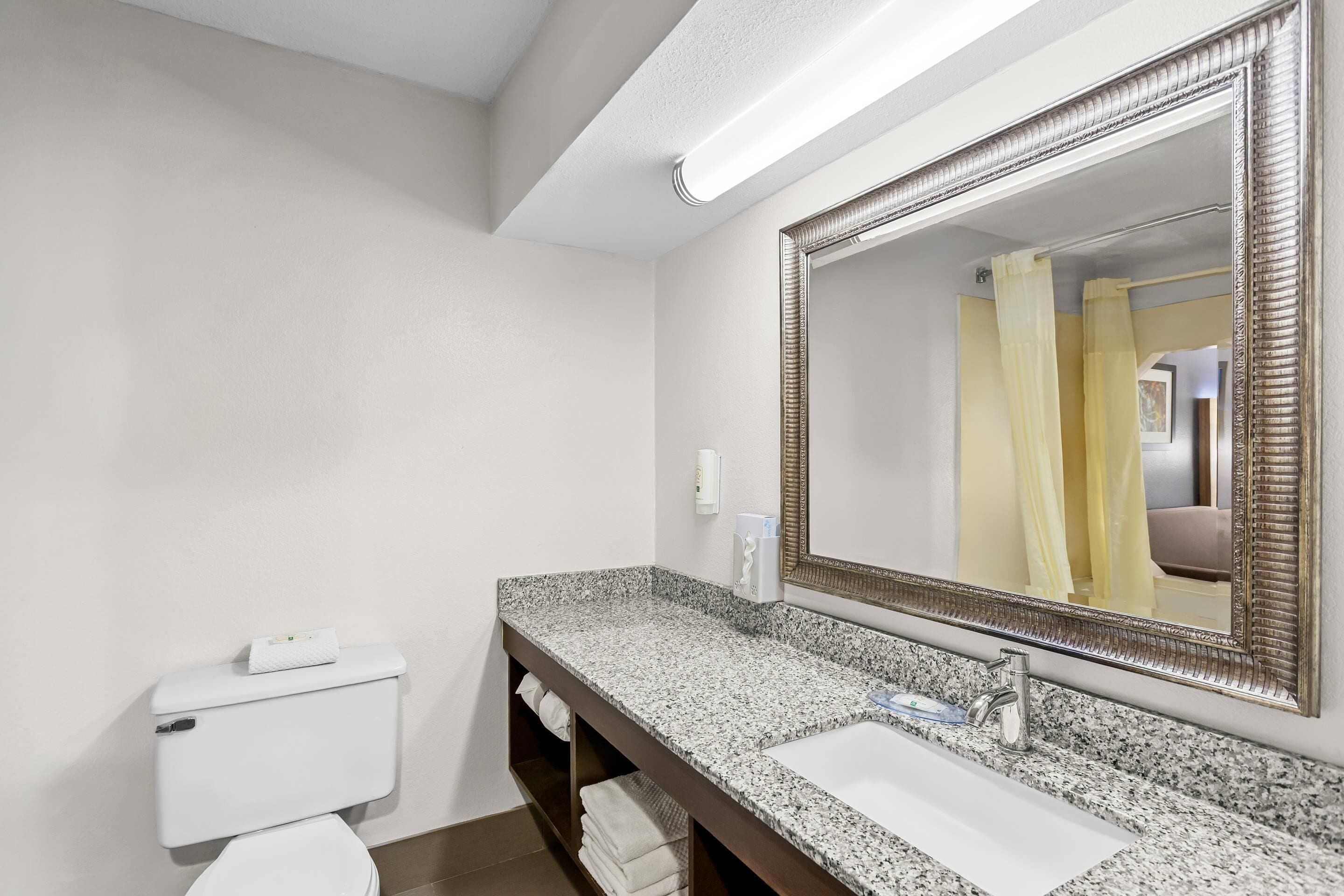 A bathroom with a granite countertop, a sink, a toilet, and a large mirror with a decorative frame.