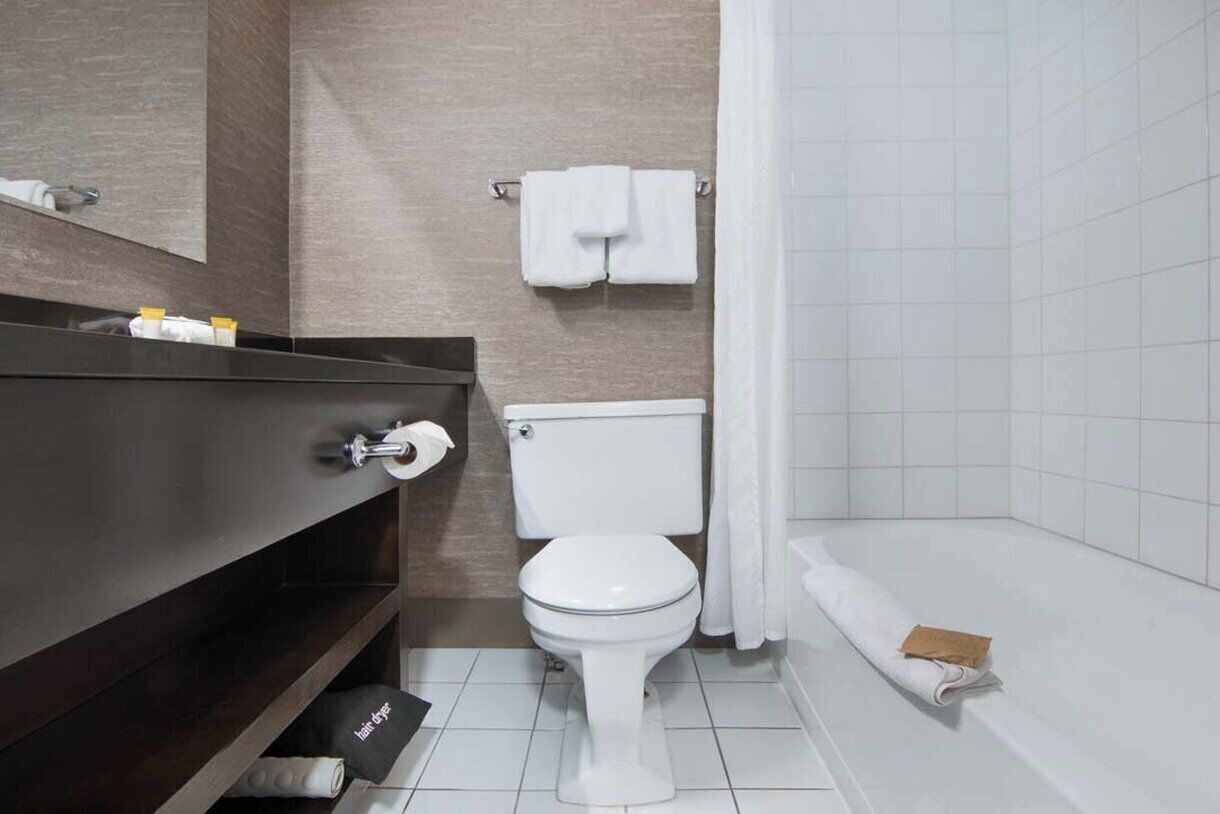 combined shower/bathtub, free toiletries, hair dryer, towels