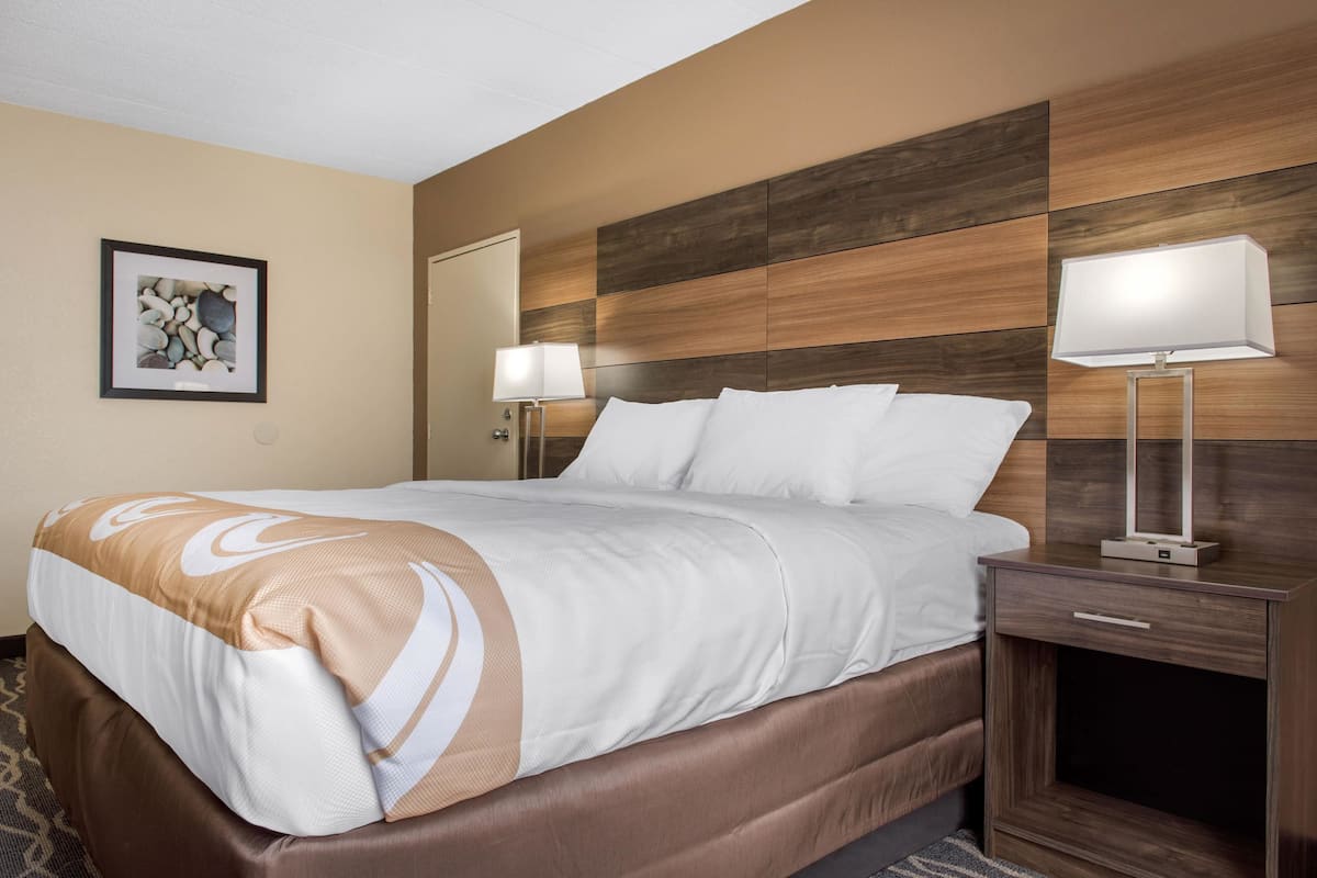 Habitación de hotel con una cama grande, una mesita de noche con lámpara, un cuadro enmarcado en la pared y un cabecero de madera.