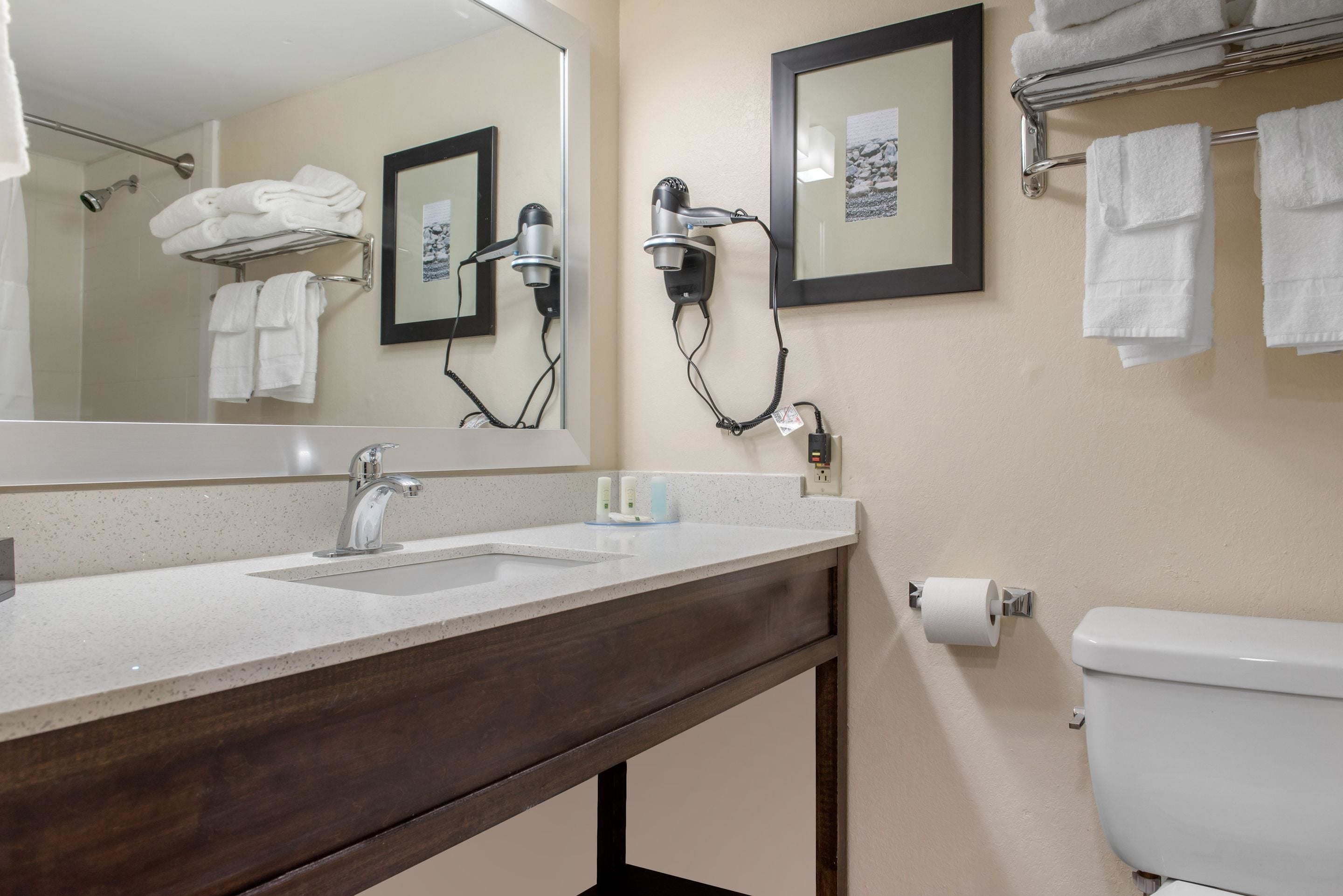 A bathroom with a double sink, a mirror, a towel rack, a hairdryer, and a toilet.