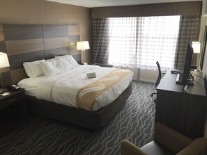 Standard King Non Smoking | View from room