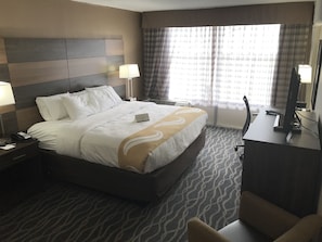 Standard King Non Smoking | View from room