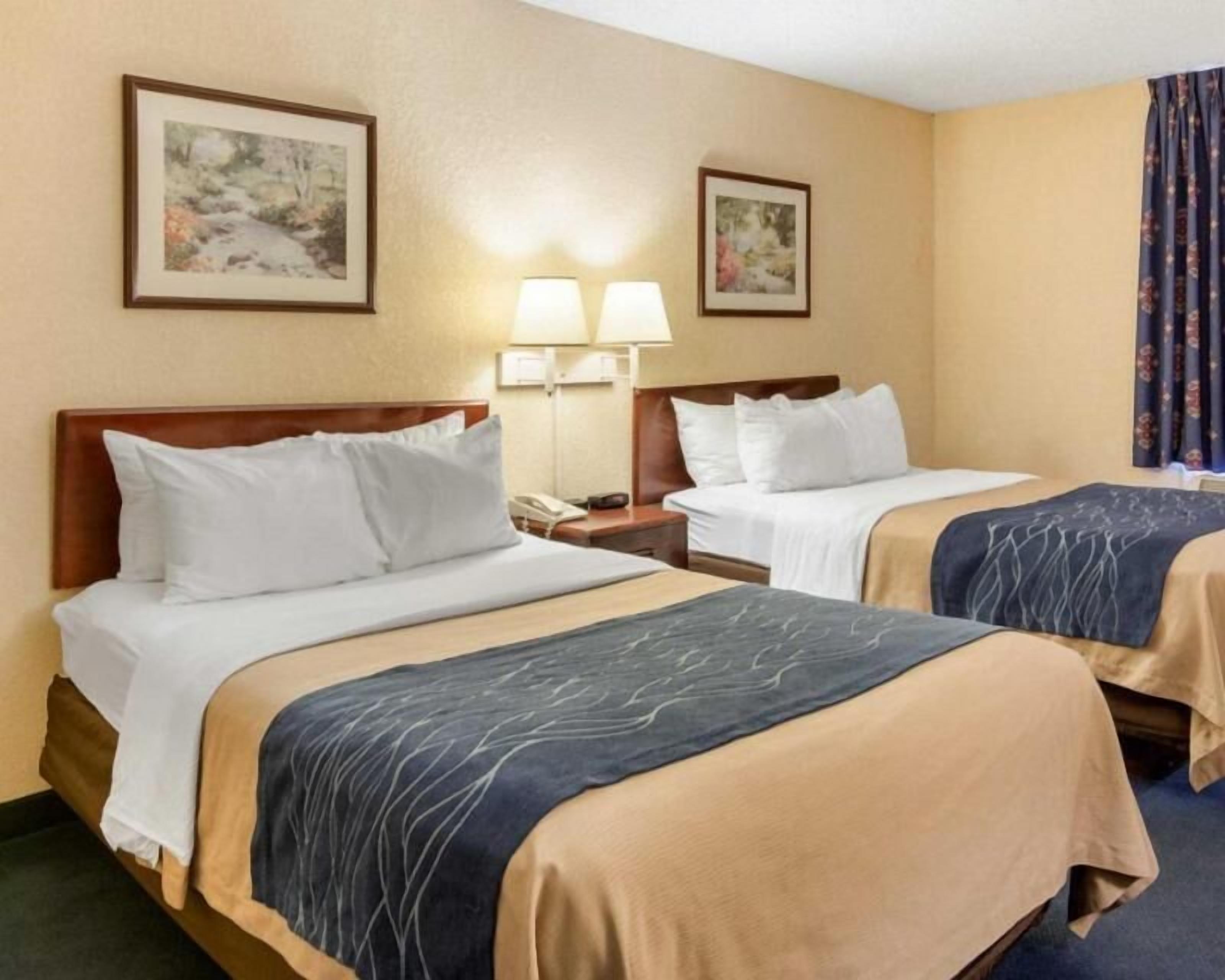 In-room safe, iron/ironing board, free cots/infant beds, rollaway beds