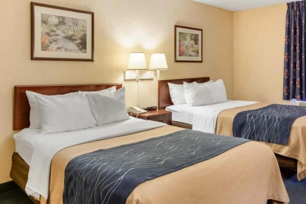 A hotel room with two beds, a nightstand with a lamp, and two framed pictures on the wall.