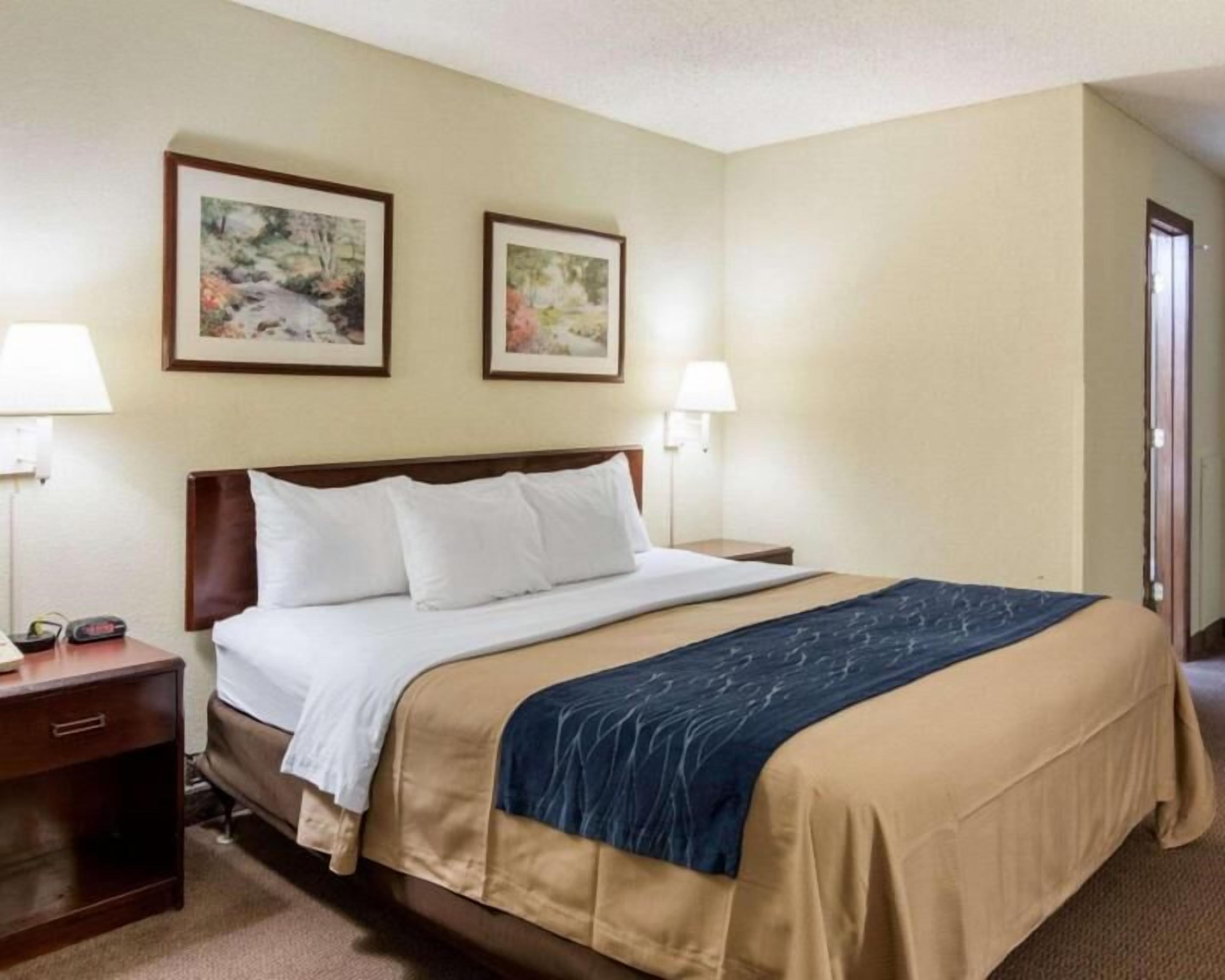 In-room safe, iron/ironing board, free cots/infant beds, rollaway beds