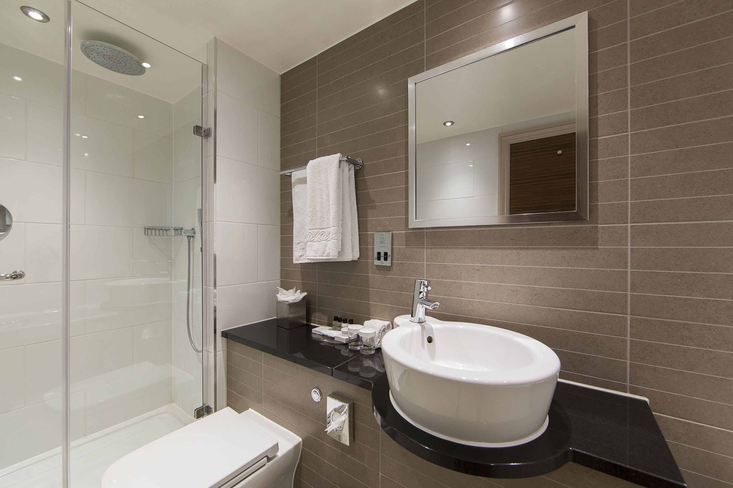 combined shower/bathtub, free toiletries, hair dryer, towels