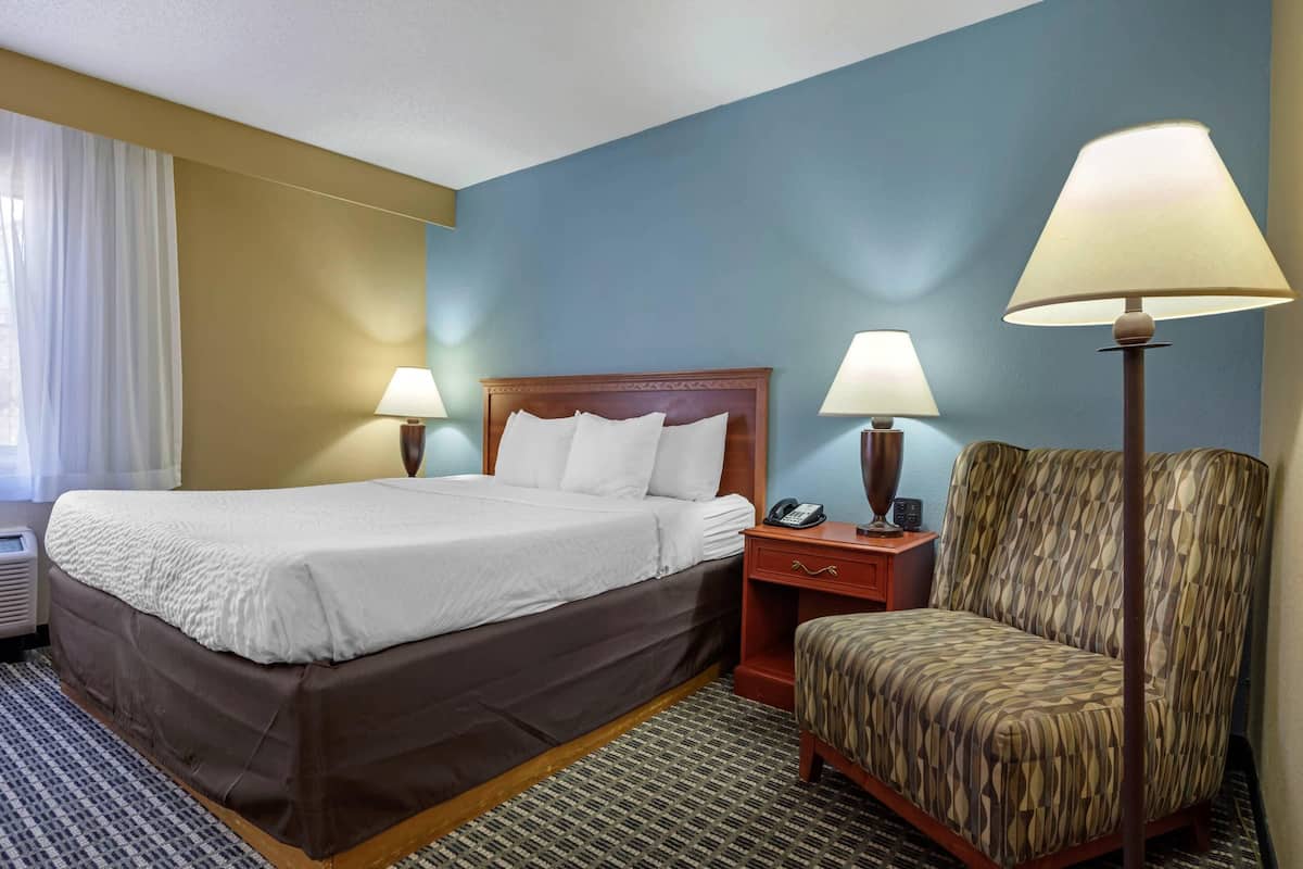 Standard Room, 1 King Bed, Non Smoking (Pet Friendly)