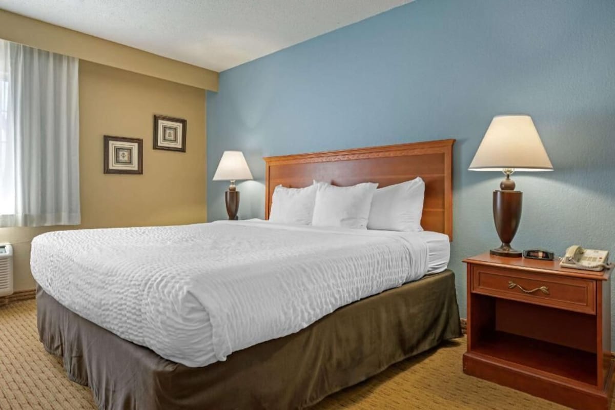 A hotel room with a large bed, two bedside lamps, a nightstand with a phone, and framed pictures on the wall.