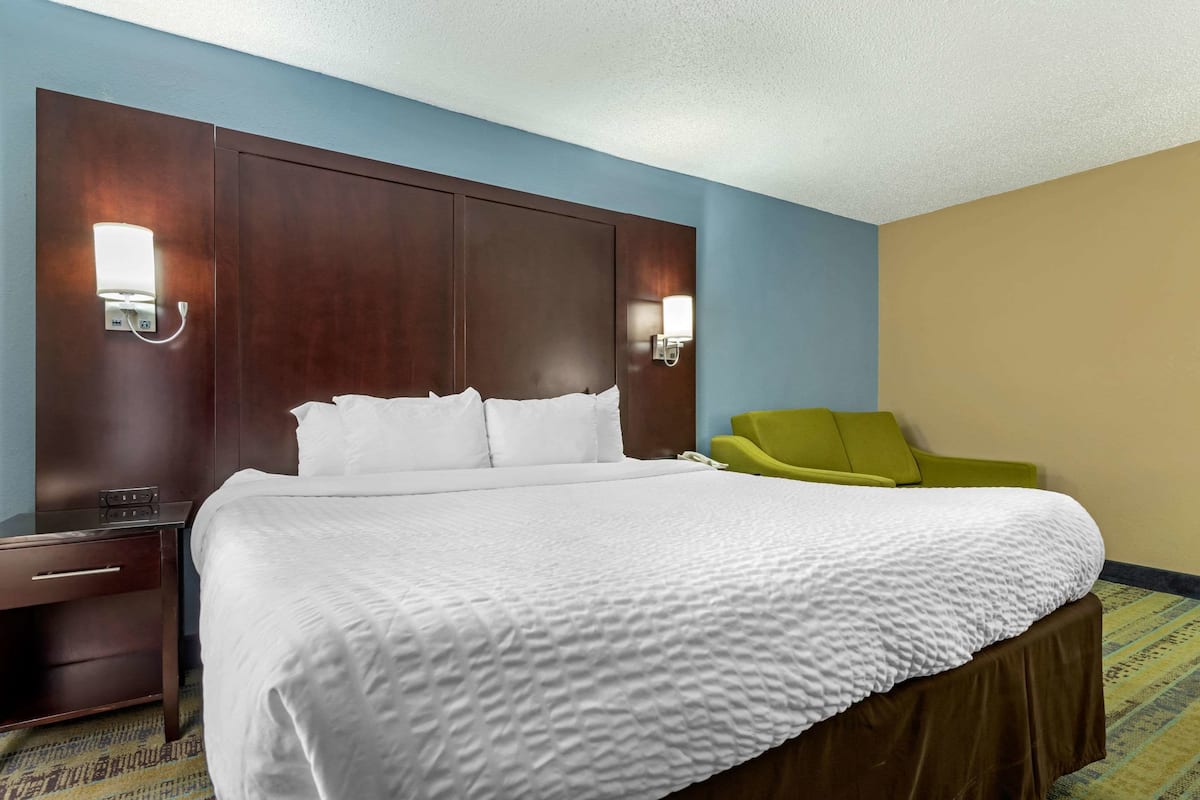 Standard Room, 1 King Bed with Sofa bed, Non Smoking | Premium bedding, blackout drapes, iron/ironing board