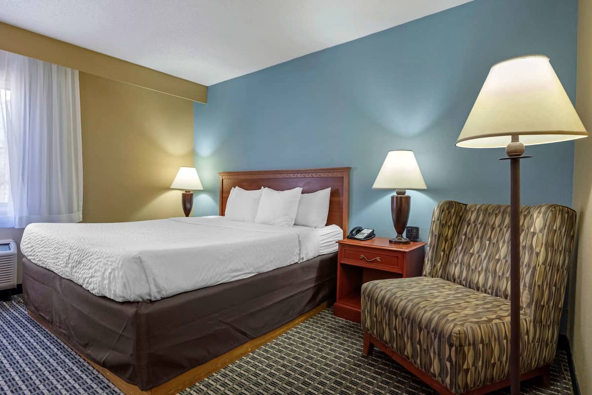 Standard Room, 1 King Bed, Non Smoking (Pet Friendly) | Premium bedding, blackout drapes, iron/ironing board