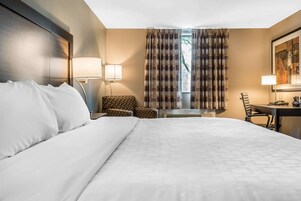 Standard Room, 1 King Bed, Non Smoking | In-room safe, desk, blackout drapes, iron/ironing board