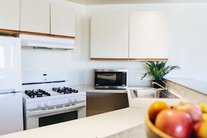 Großer Kühlschrank, Mikrowelle, Ofen, Herdplatte