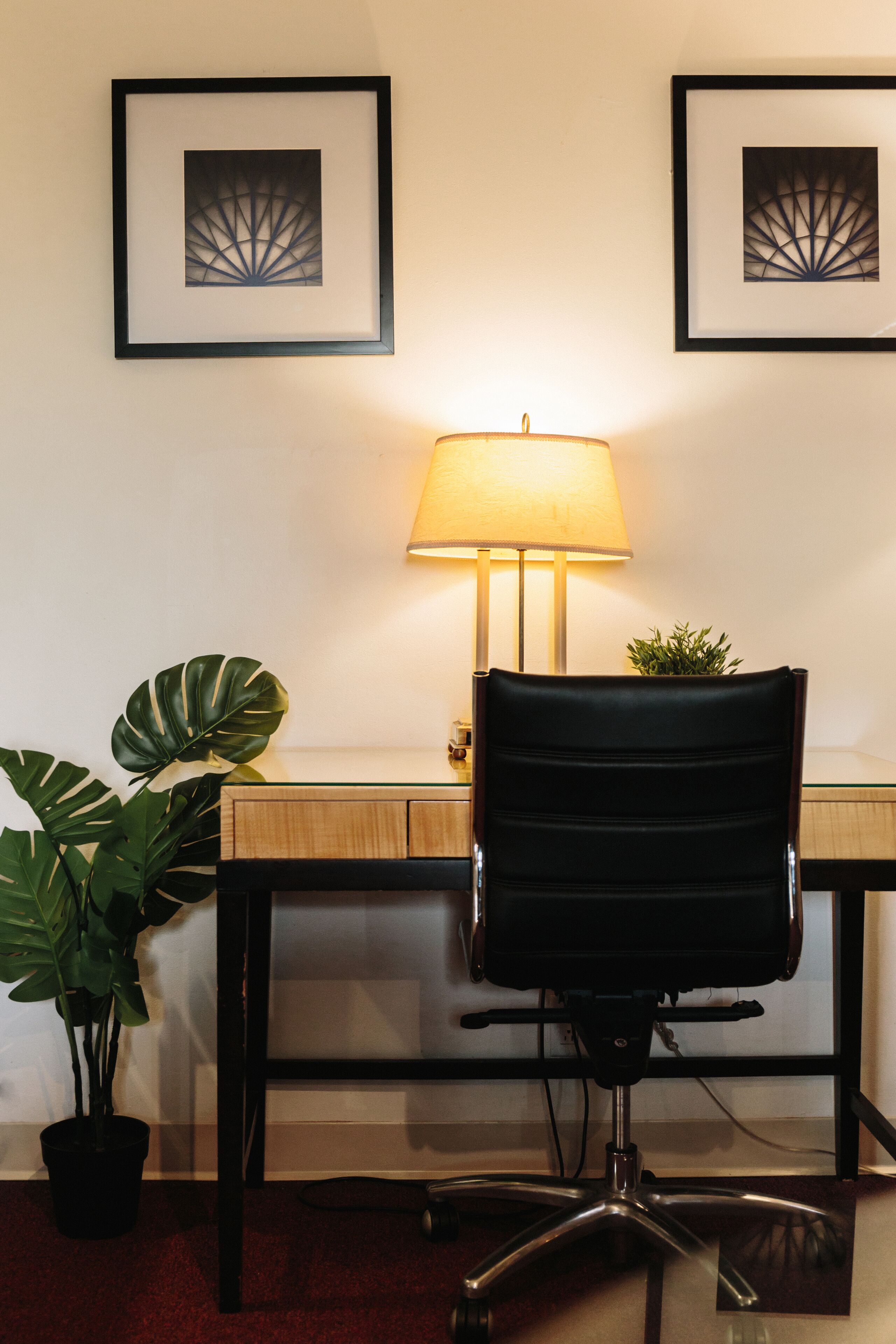 A desk with a lamp, a black office chair, and a potted plant.