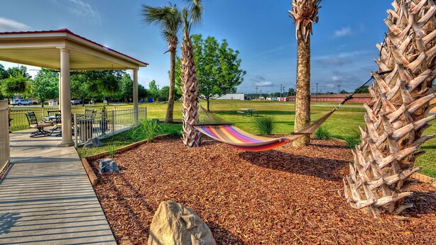 A covered patio area with outdoor seating, palm trees, and a hammock.