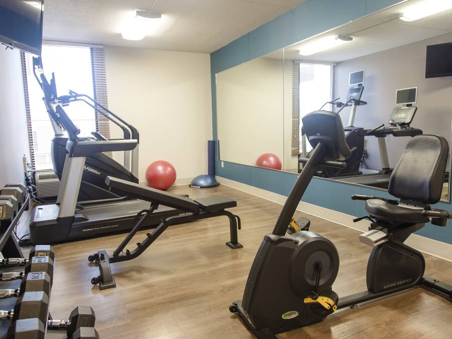 Une salle de sport équipée de machines de cardio, d’haltères et de ballons d’exercice.