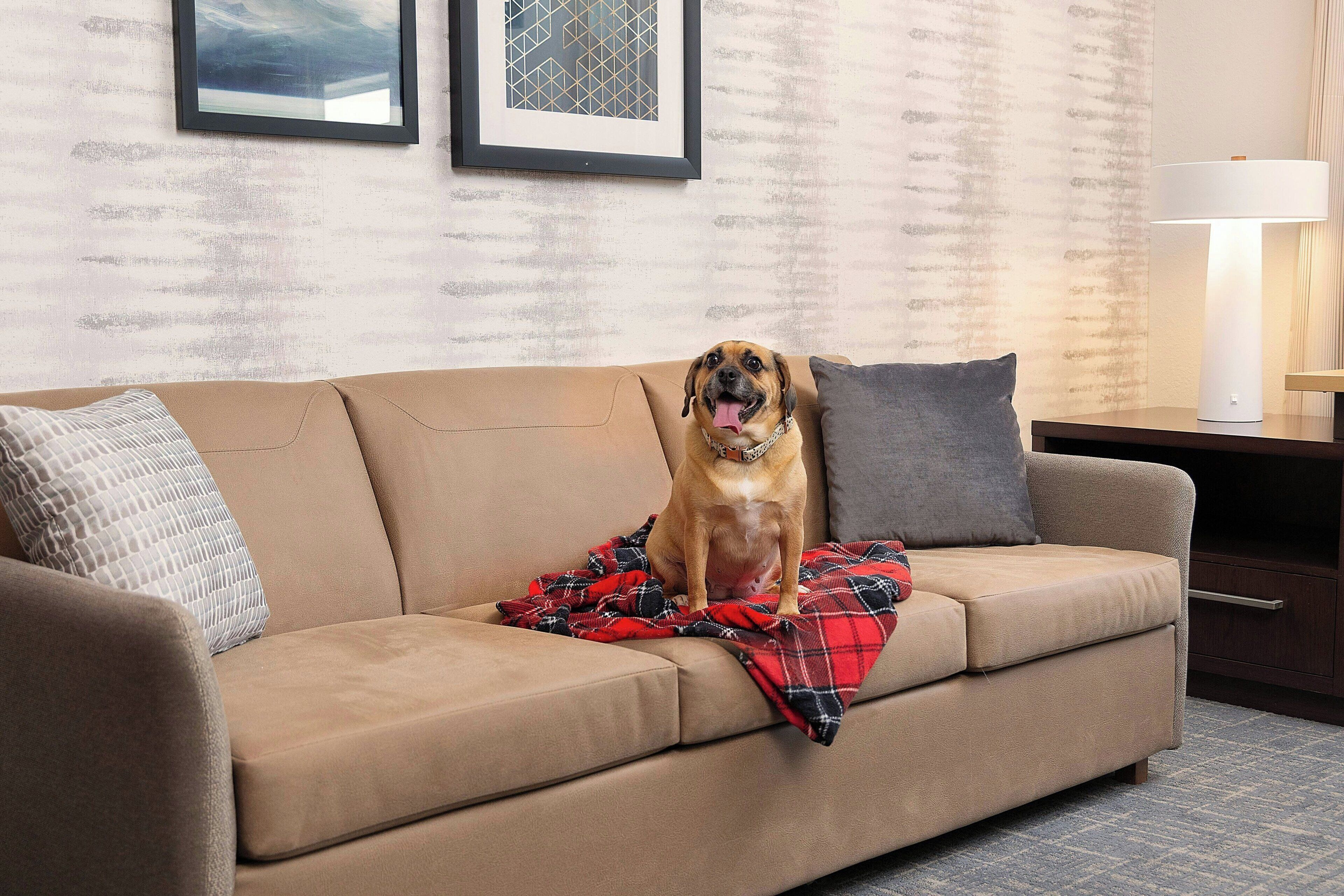 suite, 2 bedrooms | property amenity