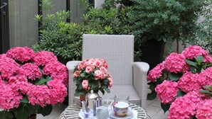 A round wicker table with a tray, two potted pink hydrangeas, a chair, and a large potted plant. - My Home in Paris Hotel (Paris)