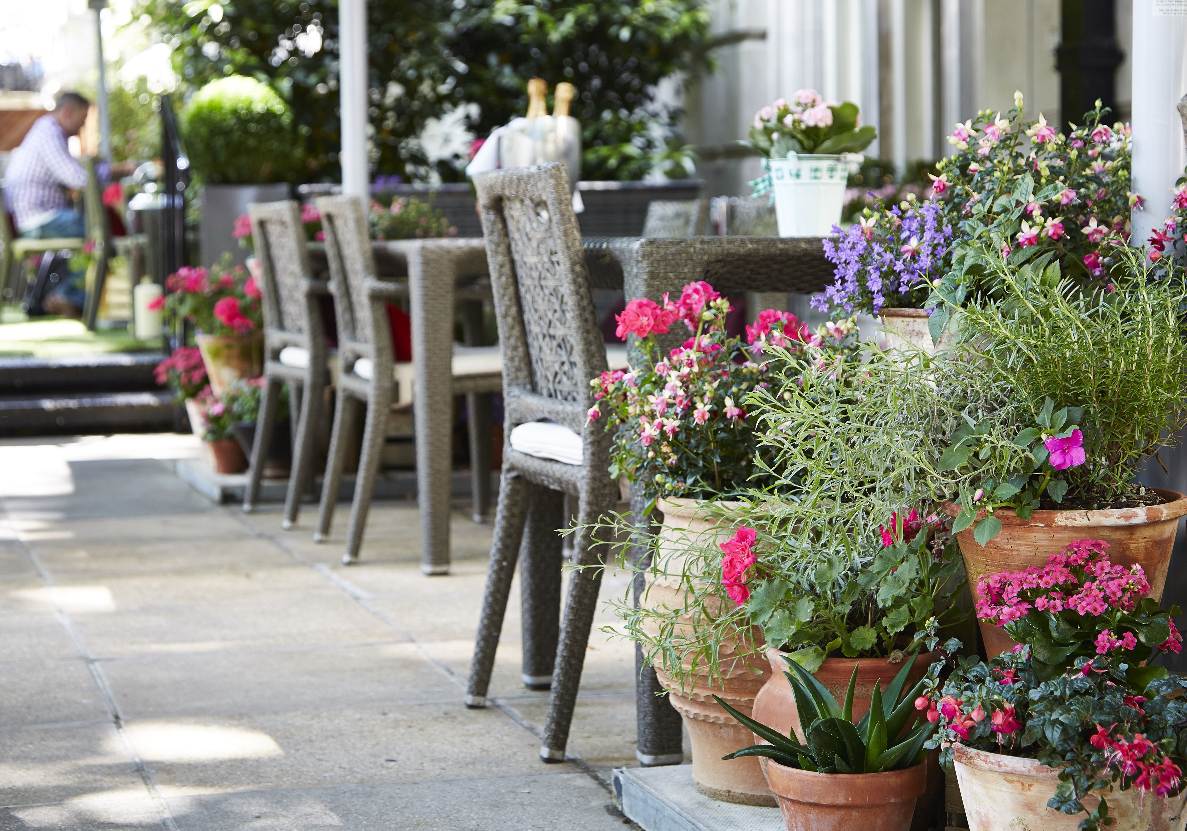 Outdoor seating with potted plants and chairs.