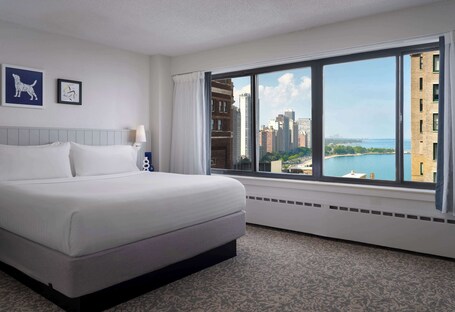 Sonesta ES Suites Chicago Downtown Magnificent Mile Medical - Image 3