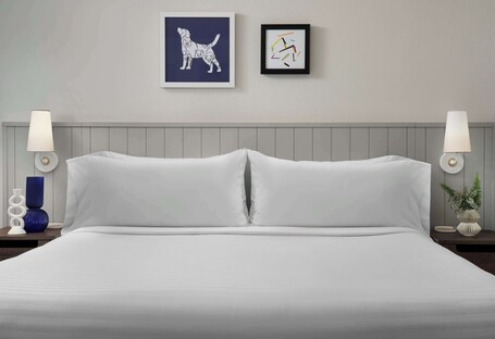 Sonesta ES Suites Chicago Downtown Magnificent Mile Medical - Image 10