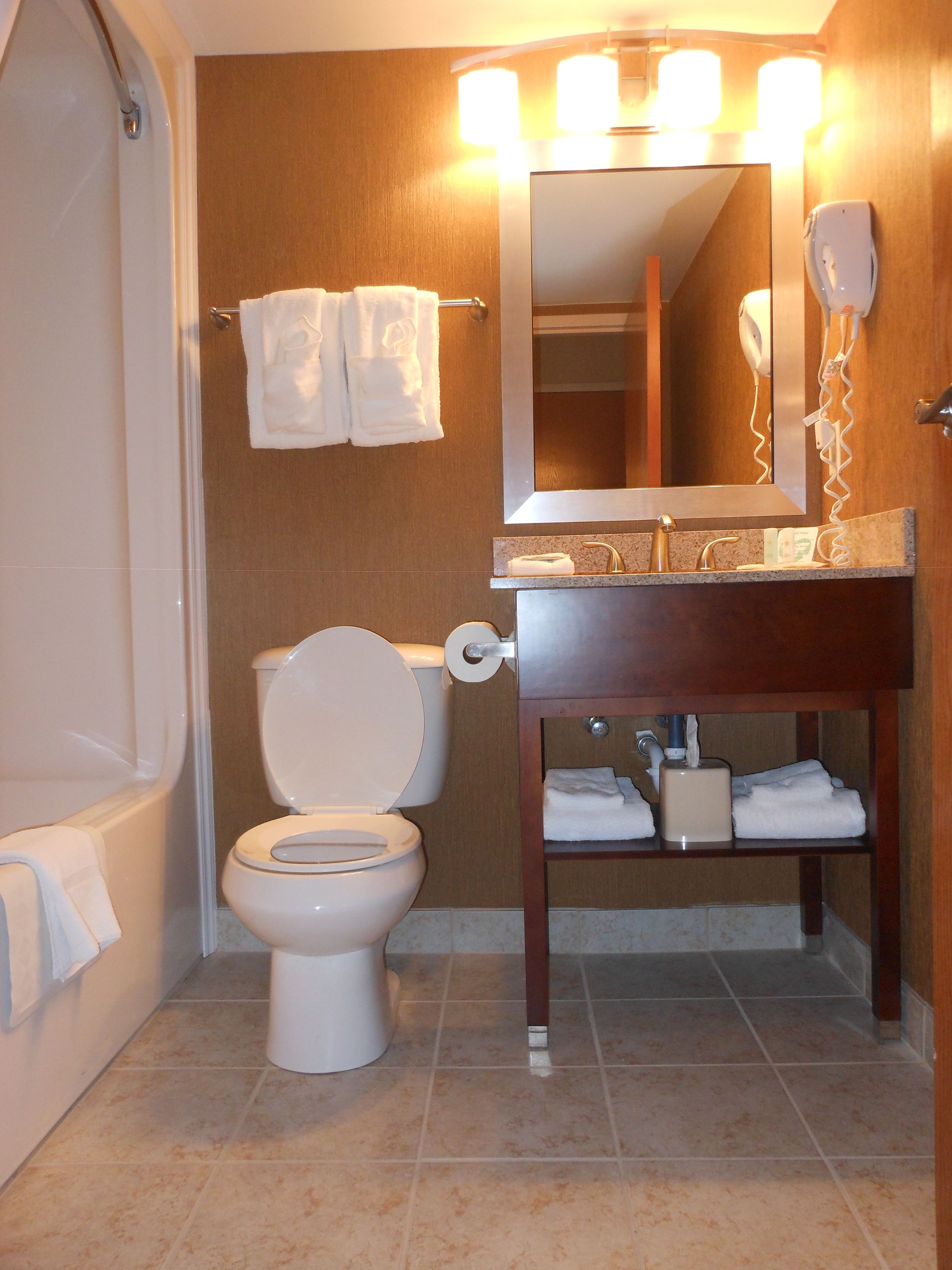combined shower/bathtub, free toiletries, hair dryer, towels