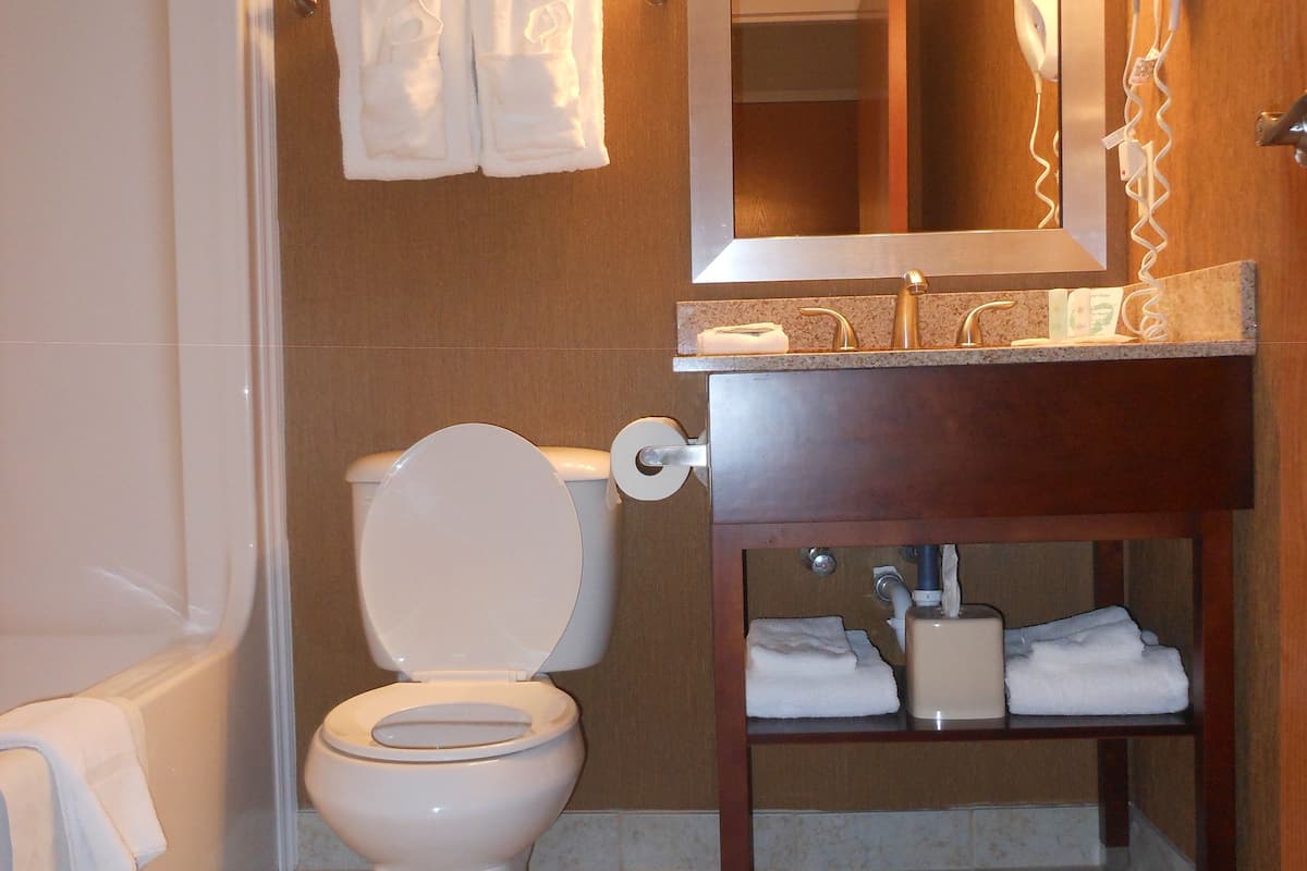 combined shower/bathtub, free toiletries, hair dryer, towels