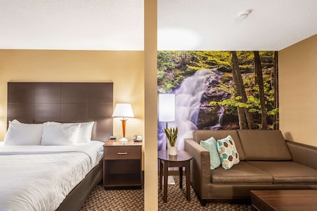 Desk, blackout drapes, iron/ironing board, cribs/infant beds