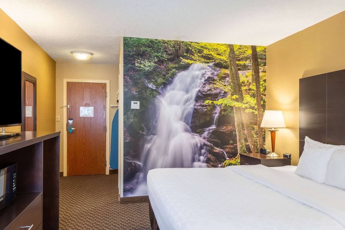 A hotel room with a bed, a TV, a desk, and a wall with a waterfall mural.