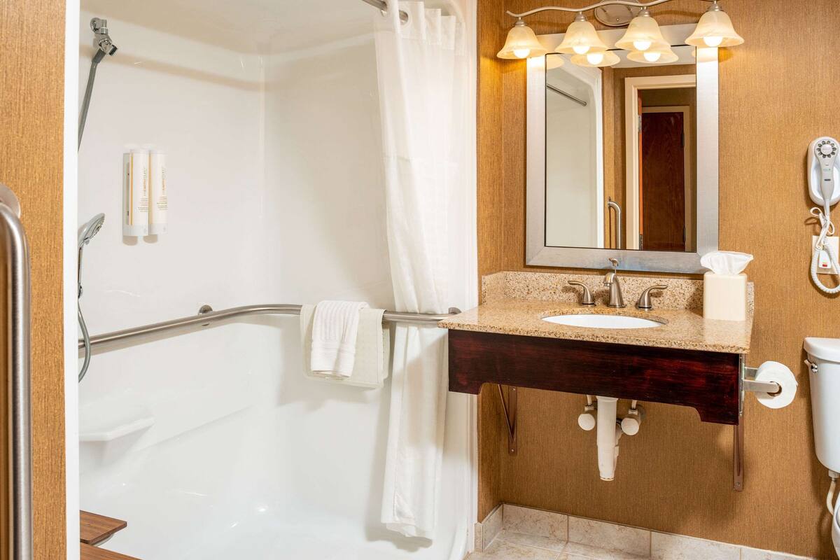 room, 1 king bed, accessible, non smoking (roll-in shower) | bathroom | combined shower/bathtub, free toiletries, hair dryer, towels