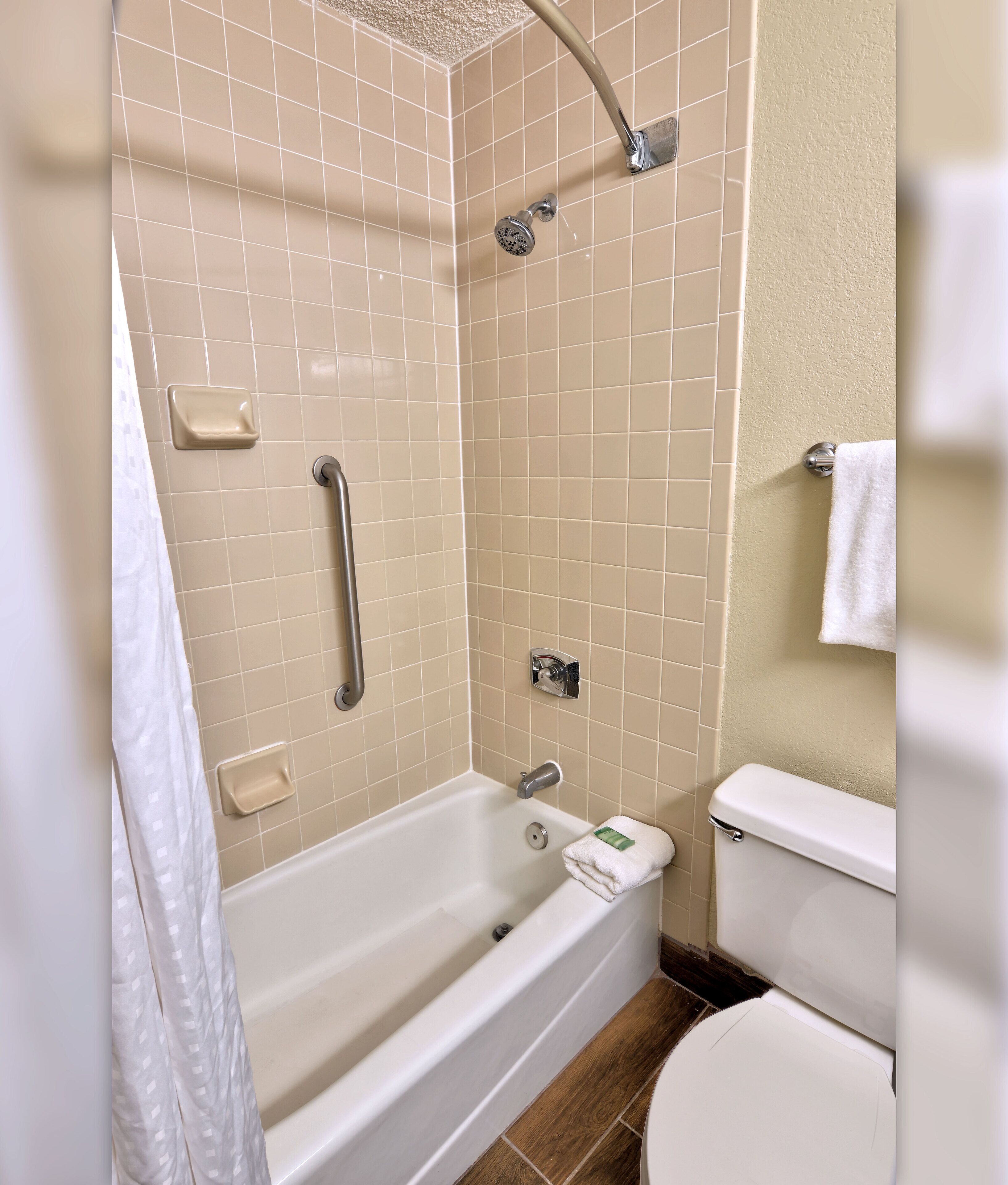 Foto - Holiday Inn St. Petersburg N - Clearwater by IHG