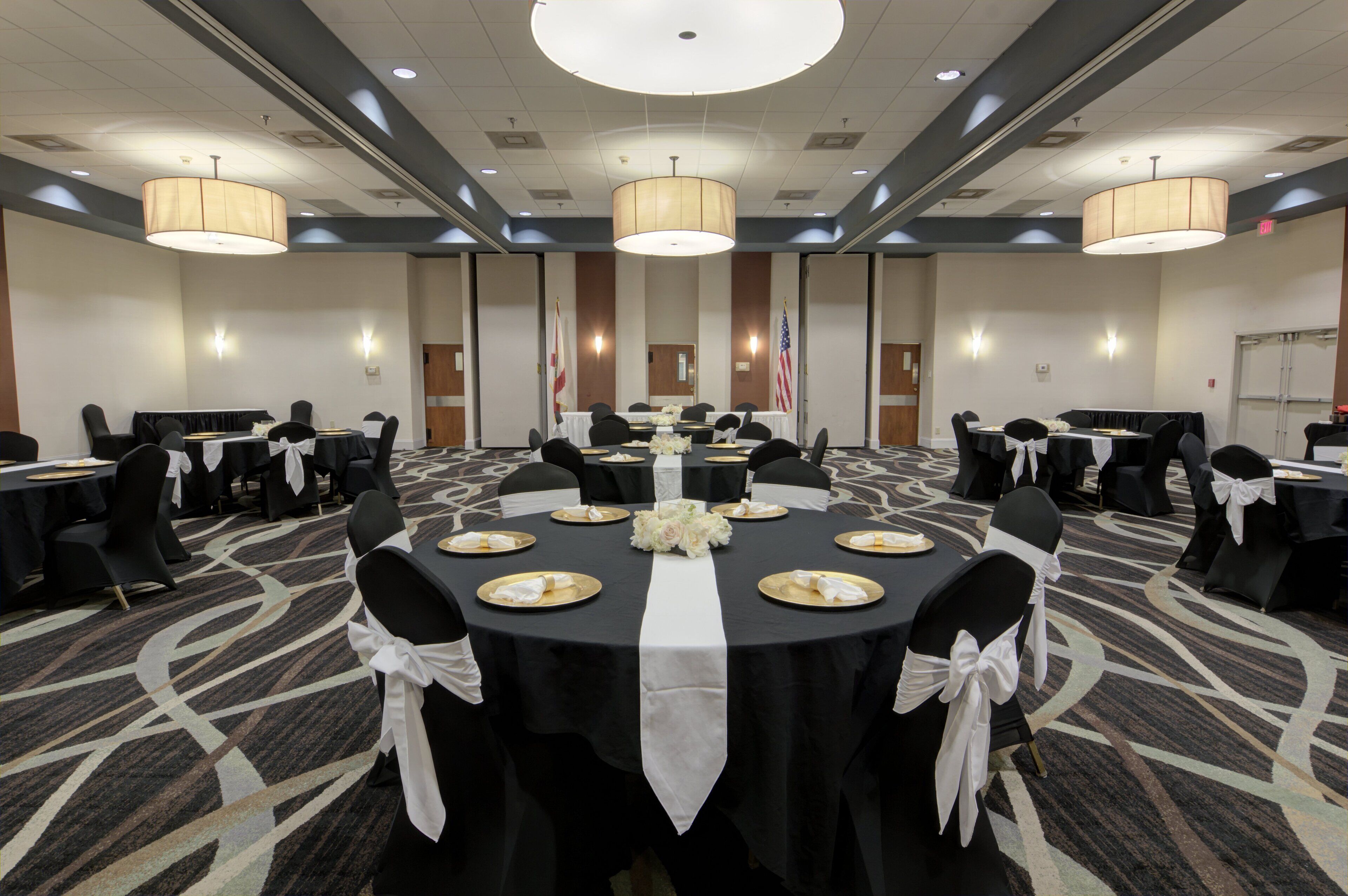 Foto - Holiday Inn St Petersburg N - Clearwater by IHG