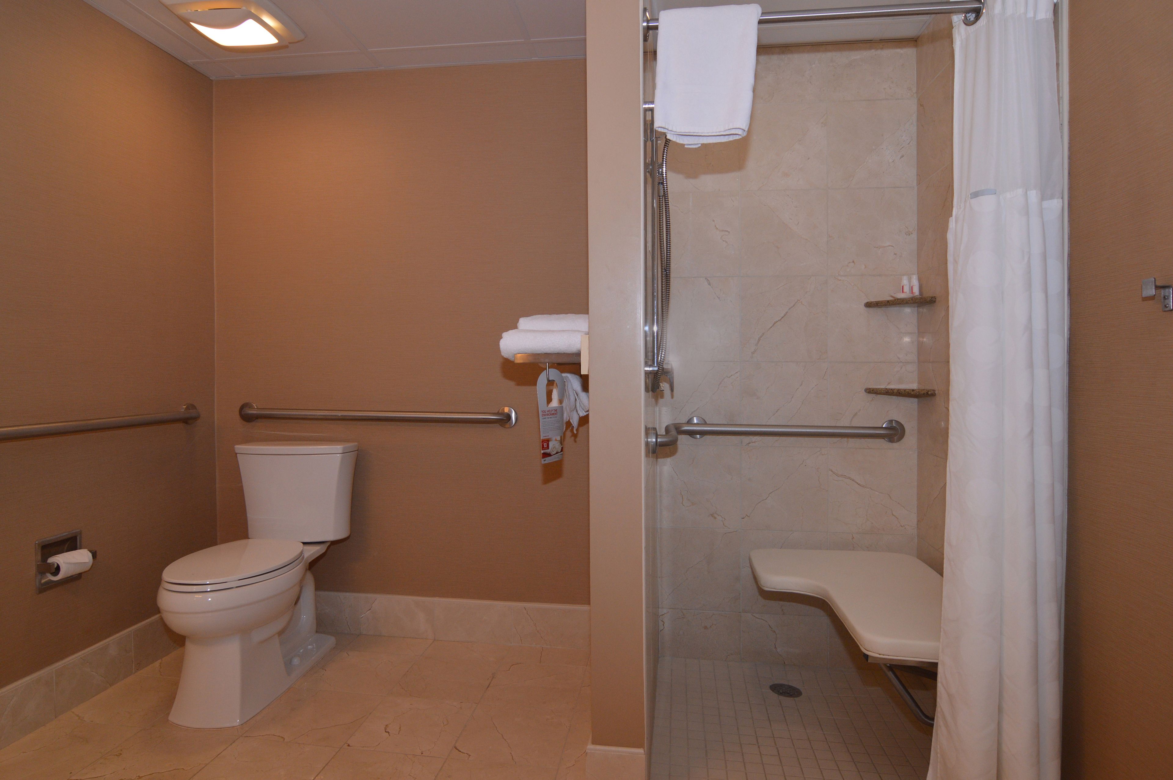 A bathroom with a toilet, a shower, and a grab bar.