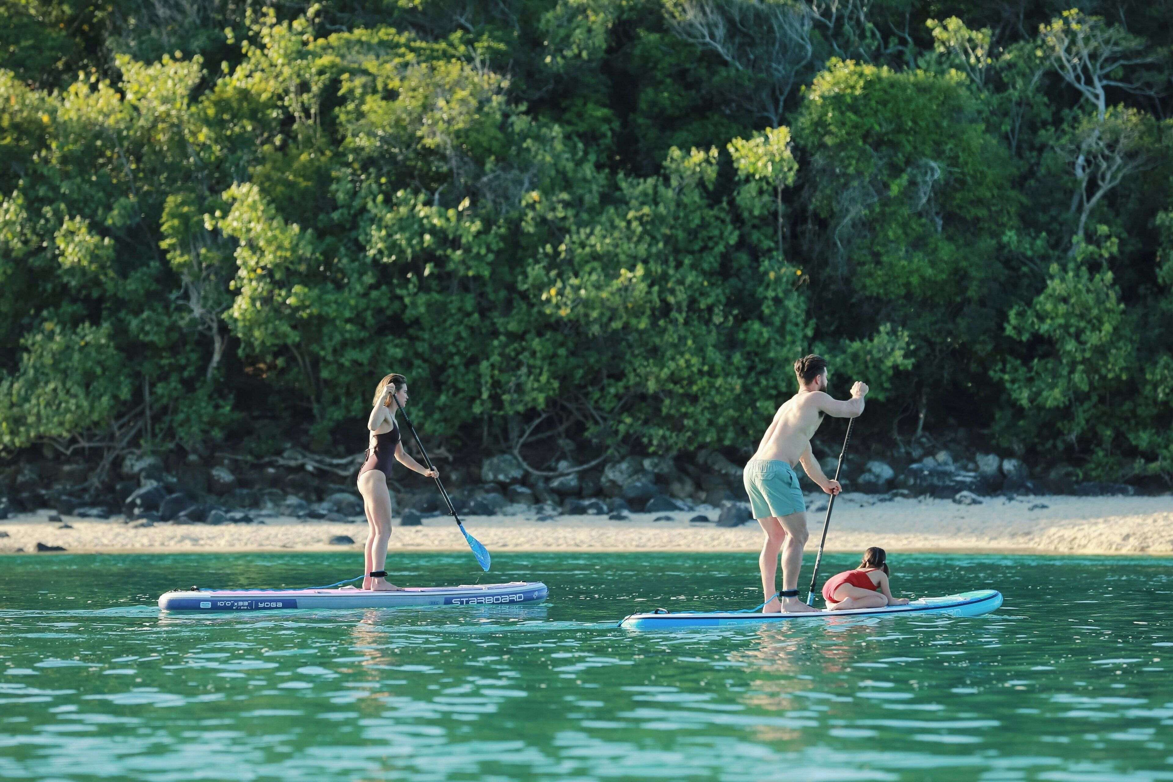 Dos personas en tablas de remo sobre un agua tranquila, con una playa y follaje denso al fondo.