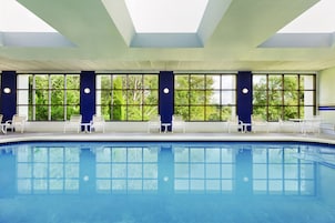 Indoor pool, sun loungers